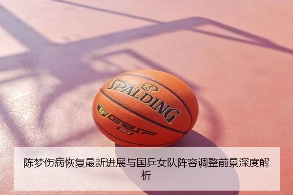 陈梦伤病恢复最新进展与国乒女队阵容调整前景深度解析