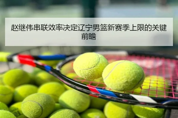 赵继伟串联效率决定辽宁男篮新赛季上限的关键前瞻